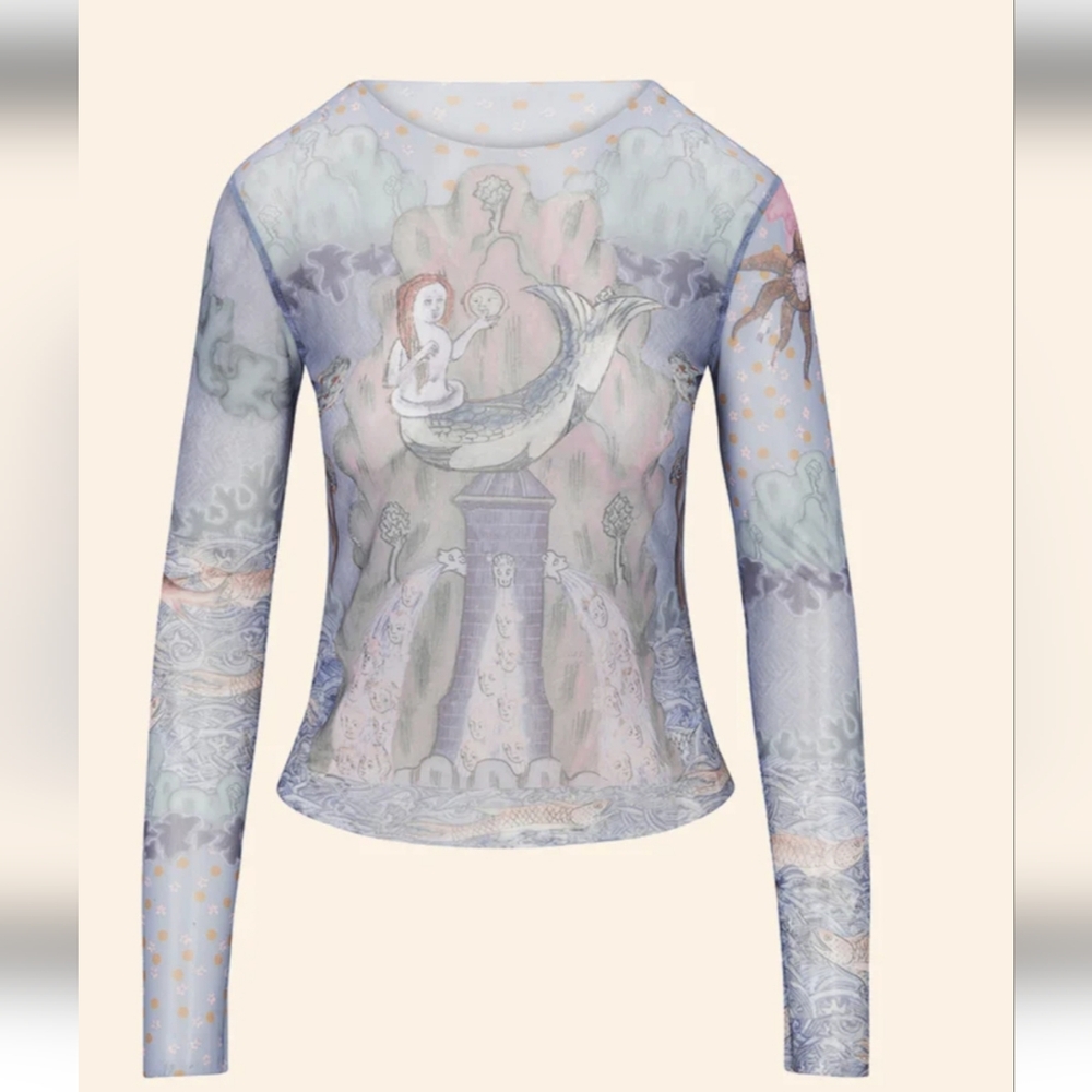 Mesh Long Sleeve Top